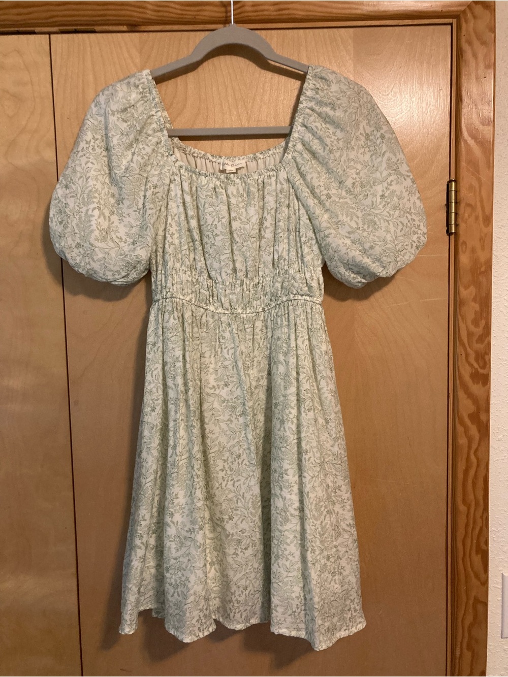 By The River Floral Puff Sleeve Smocked Mini Dress Sage Green Size Small